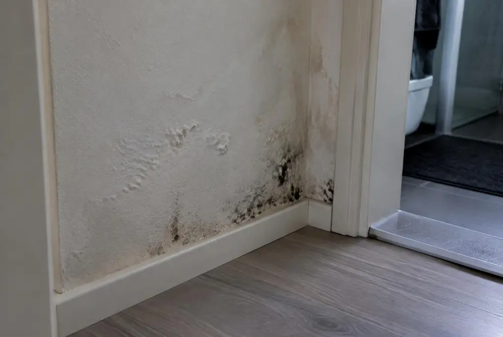 Lekdetectie Almelo – vochtplek met schimmel op een muur